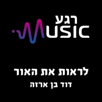 דוד בן ארזה - לראות את האור