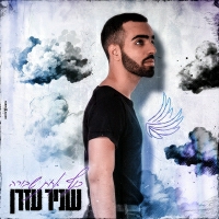 שניר עזרן - כנף אחת שבורה