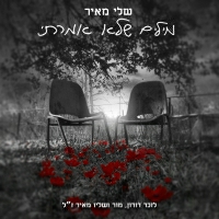 שלי מאיר - מילים שלא אמרתי