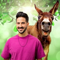 מור זיתוני - מור והחמור - שיר הנושא של הסדרה