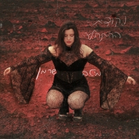 מיטב שרמן - נקודת ההתחלה