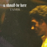 תמיר גרינברג - u should be here