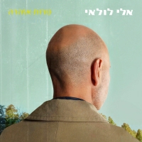 אלי לולאי - נורות אזהרה