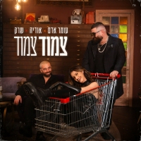 עומר אדם ואודיה ושרק - צמוד צמוד