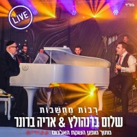 שלום ברנהולץ ואריה ברונר - רבות מחשבות