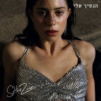 שיר זוארץ - הנסיך שלי