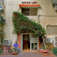 כהן וקרקוקלי - שקרים לבנים
