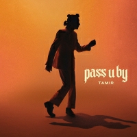 תמיר גרינברג - Pass U By