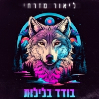ליאור מזרחי - בודד בלילות