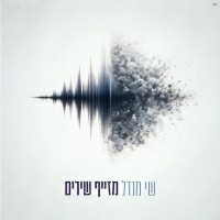 שי מנדל - מזייף שירים