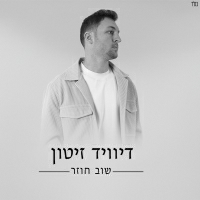 דיוויד זיטון - שוב חוזר