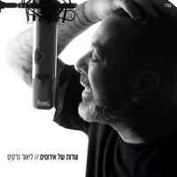 ליאור נרקיס - שדות של אירוסים