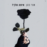 אור כהן - איפה תלך