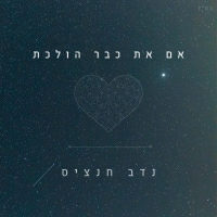 נדב חנציס - אם את כבר הולכת
