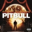 Pitbull feat Christina Aguilera - Feel This Moment