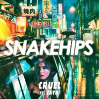 Snakehips ft ZAYN - Cruel