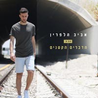 אביב הלפרין - הדברים הקטנים