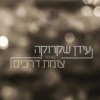 עידן שקרוקה - צומת דרכים