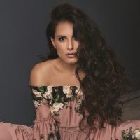 מירי מסיקה - אלוהי הדברים הקטנים
