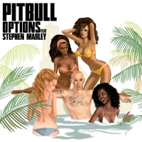 Pitbull feat. Stephen Marley - Options