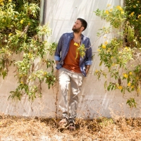 יאיר לוי - עוף קדימה