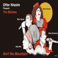 Offer Nissim Present: The Bitches - Ain't No Mountain