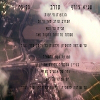 שגיא צורף - עורב