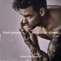 Liam Payne With Quavo - Strip That Down