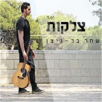 שחר בר-ניצן - צלקות