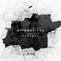 Avicii with Sandro Cavazza - Without You