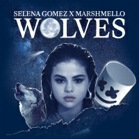 Marshmello Feat Selena Gomez - Wolves